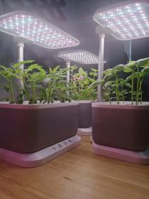 Mini Intelligent Hydroponic Planter Suitable For School, Family, Office, Home, Gift - Grey