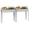 Garden Planters 2 pcs Galvanized Steel - Silver