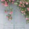 2 Pack Metal Garden Trellis 71" x 19.7" Rustproof Trellis for Climbing Plants Outdoor Flower Support Green - as Pic