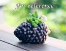 Resin Simulation Pine Cones Succulent Plant Pot Lovely Planter for Succulent Cactus - Default