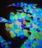 Outdoor Luminous Stones 100Pcs Glow in The Dark Pebbles Garden Moonlight Stones - blue