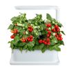 Hydroponic Growing System - LA01