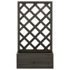 Garden Trellis Planter Gray 19.7"x9.8"x35.4" Solid Firwood - Gray