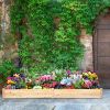 Wooden Vegetable Raised Garden Bed Backyard Patio Grow Flowers Planter - wood - fir wood