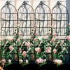 2 Pack Metal Garden Trellis 71" x 19.7" Rustproof Trellis for Climbing Plants Outdoor Flower Support Black - as Pic