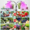 4 Head LED Grow Light with Stand for Indoor Plants Full Spectrum Plant Grow Lamp - Black