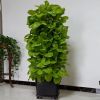 Home Garden Indoor Stackable 7 Layers 28 Plant Sites Hydroponics Growing Systems Kit Aeroponic Tower - 7 Layers/Tower