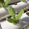 NEW Style NFT Hydroponics System with 108 Holes Kits,Vertical Hydroponic Growing Systems PVC Tube Plant Vegetable - 108 holes